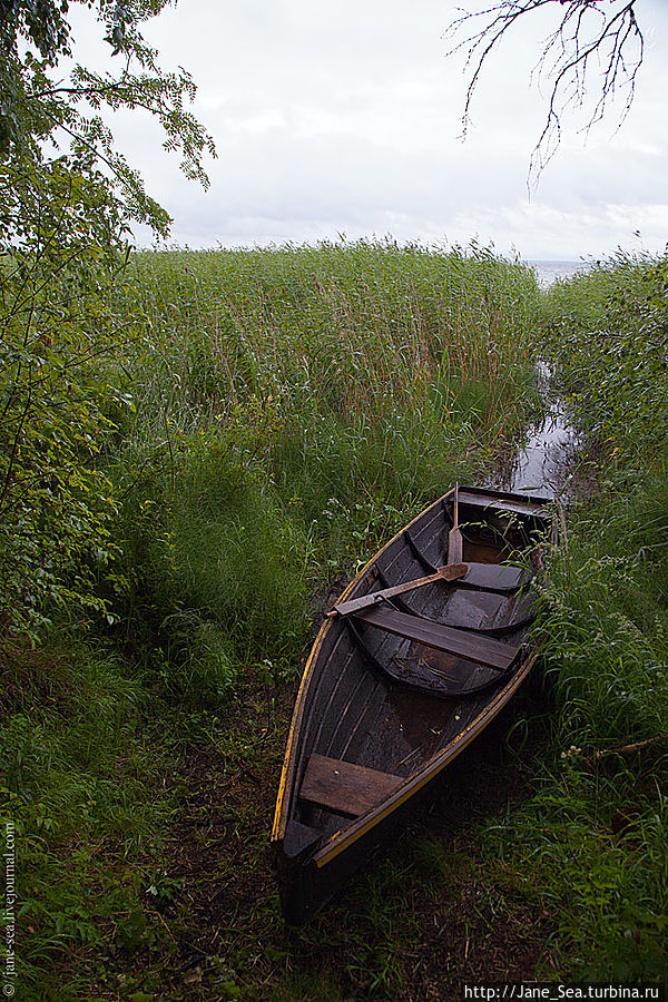 Берег Лекшмозера в деревне Морщихинская