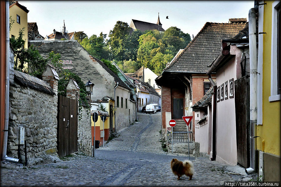 Сигишоара — памятник ЮНЕСКО, и настоящая родина Дракулы Сигишоара, Румыния