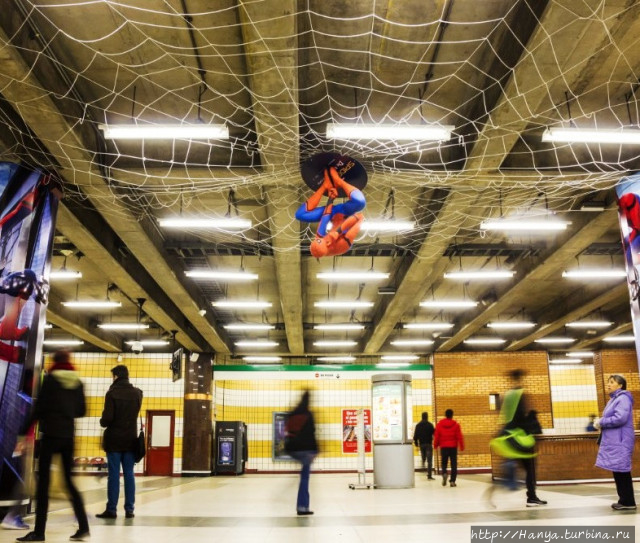 Из интернета