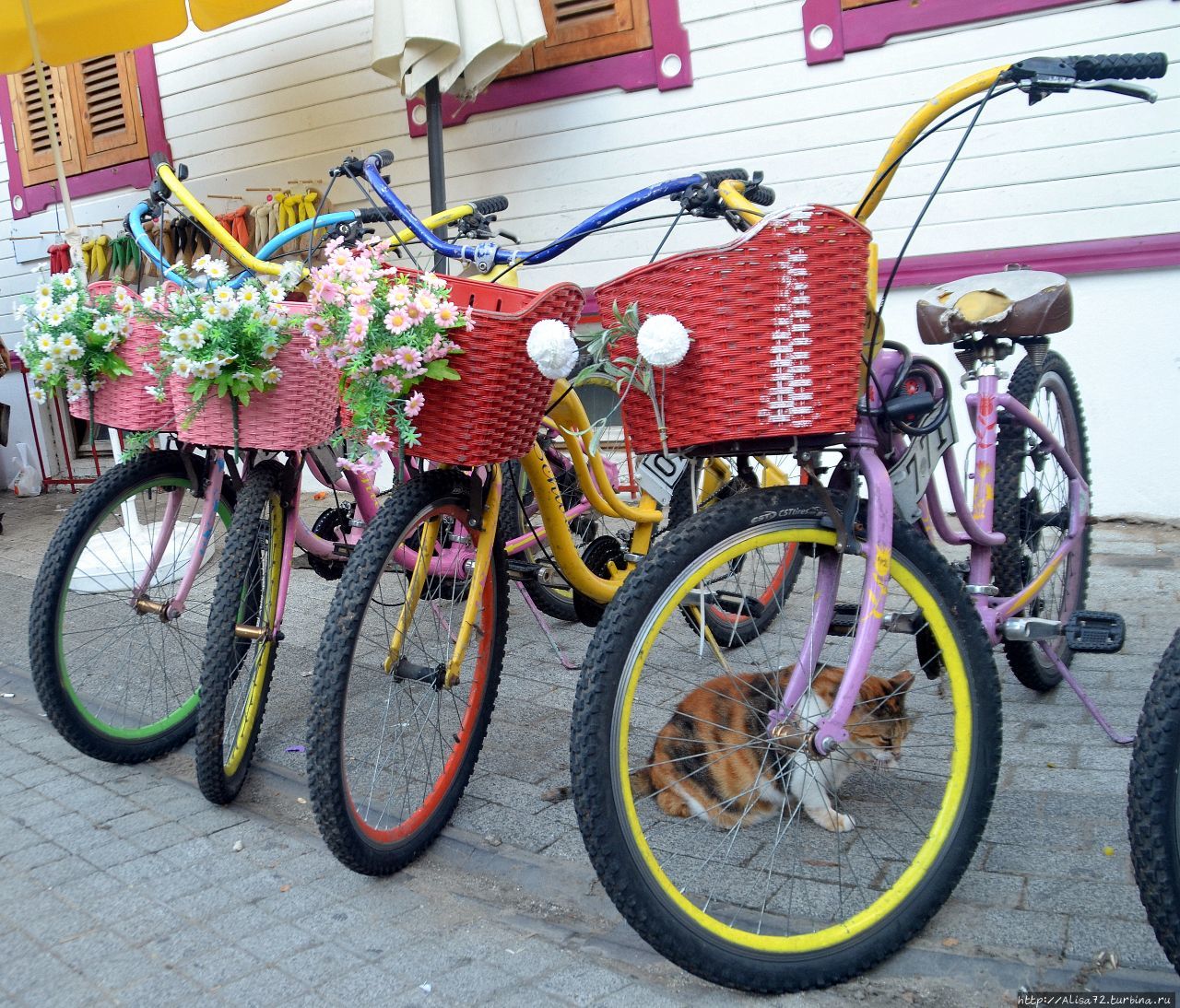 Каждая принцесса по желанию может взять специальный принцесский велосипед на прокат. Стамбул, Турция