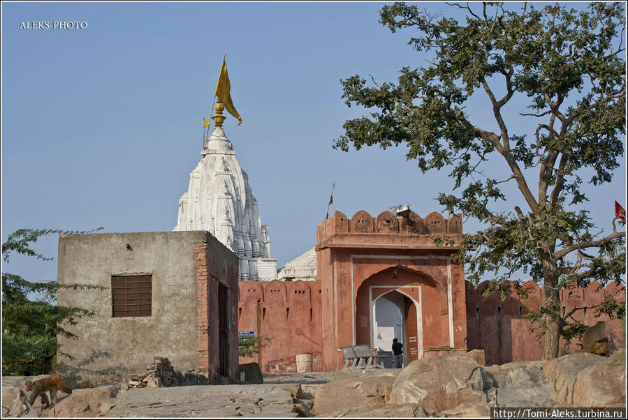 Храм, расположенный на самом обрыве, вокруг которого множество обезьян...
* Джайпур, Индия