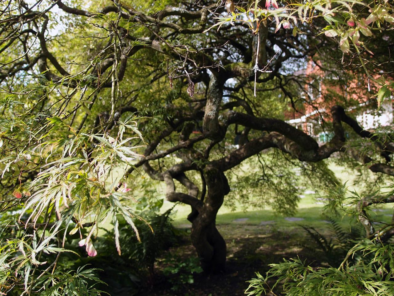 На деревню к богатому дедушке Брюссель, Бельгия