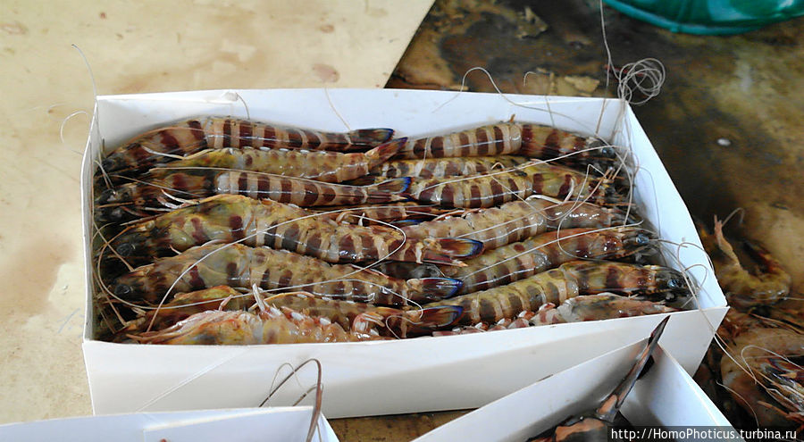 богатства рынков