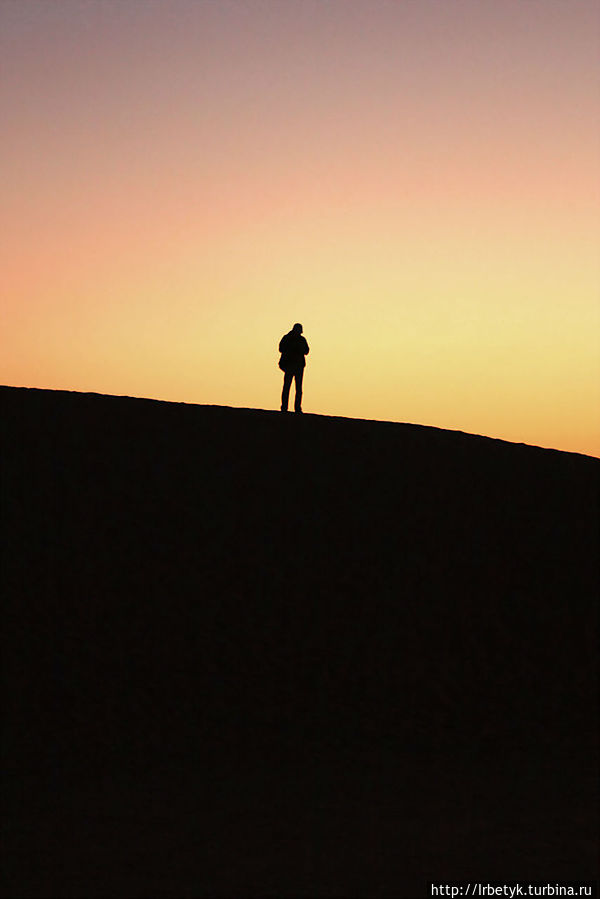 Сафари в пустыне — адреналин для желающих ОАЭ