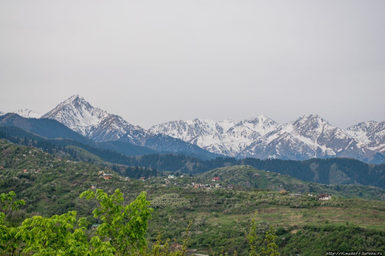 Злостное нарушение алматинского карантина или бегство в горы