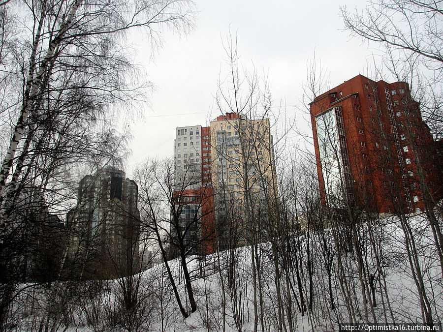 Прогулки в лесу Тёплого Стана Москва, Россия