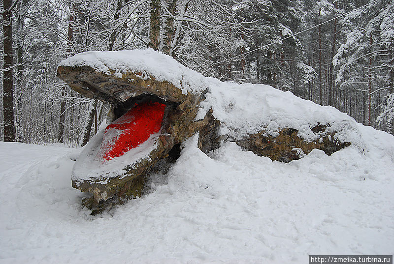 А это Крокодил, рядом еще один есть, но сейчас он под снегом) Таллин, Эстония