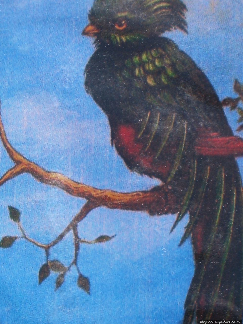 Птица кетцаль Чичен-Ица город майя, Мексика