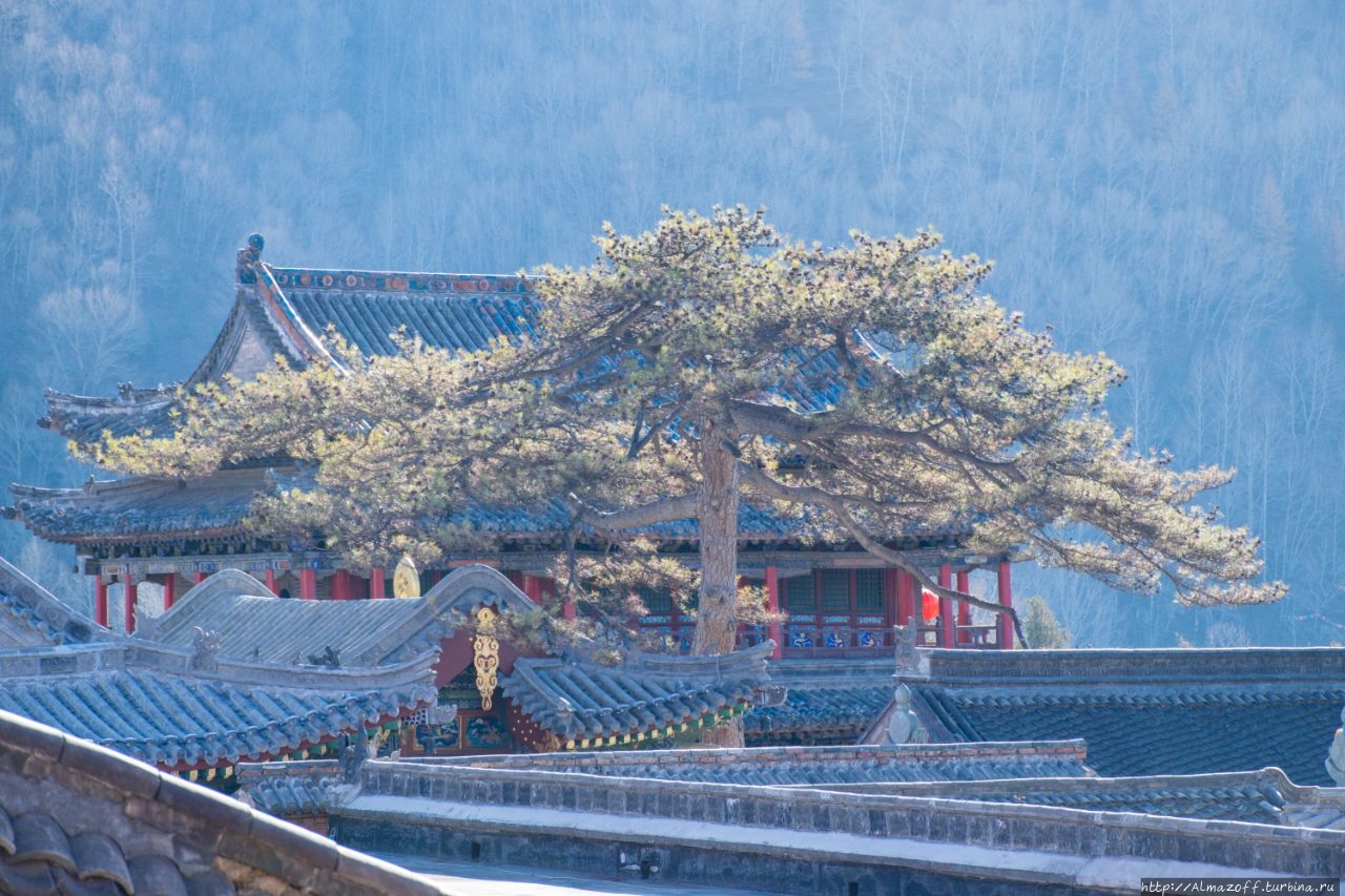 Храм Таюань и Большая белая пагода Священная Гора Утайшань, Китай