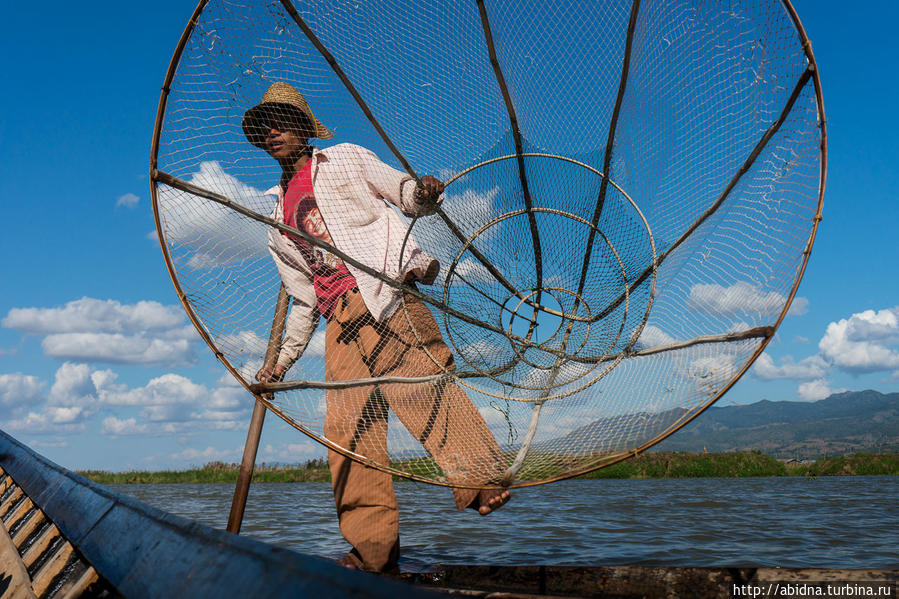 И еще вот так ловят рыбу на озере Инле Озеро Инле, Мьянма