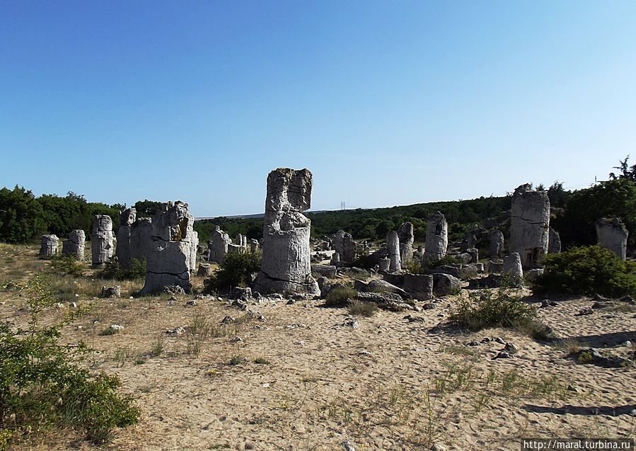 Здесь раздолье для людей с богатой фантазией
