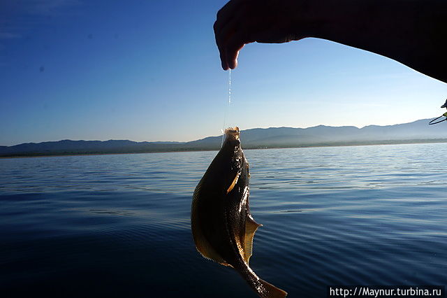 Вот  такая рыбалка Южно-Сахалинск, Россия