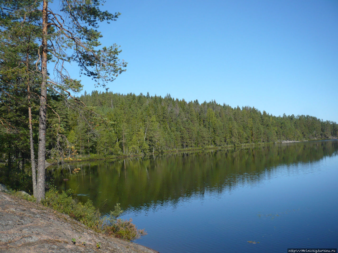 Небольшая прогулка по Лисьей тропе Реповеси Национальный Парк, Финляндия
