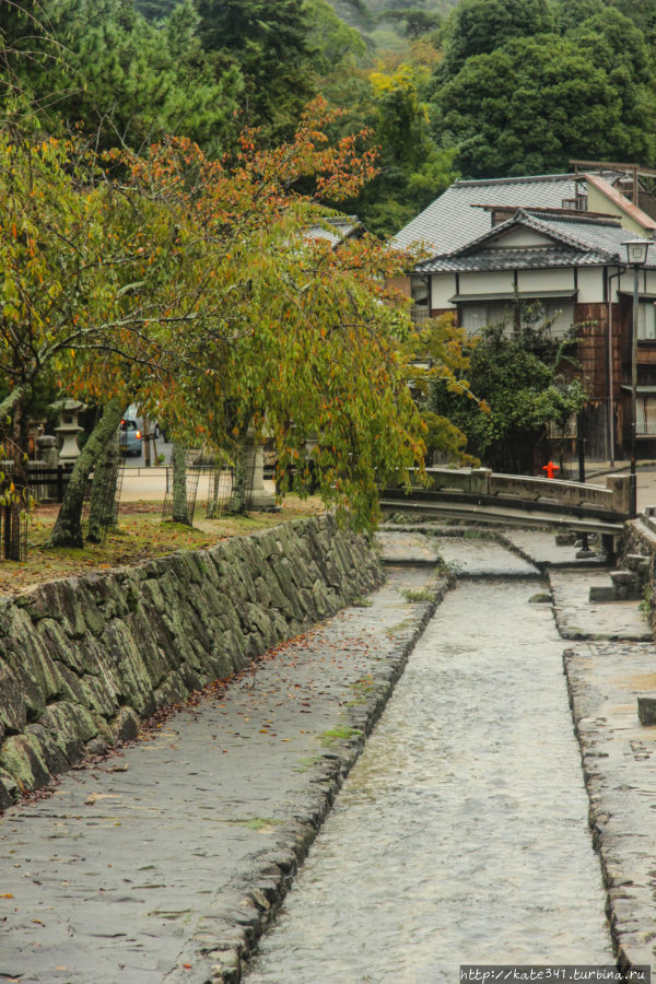 Япония. Часть 4. Первые олени и сумеречный трекинг Миядзима, Япония