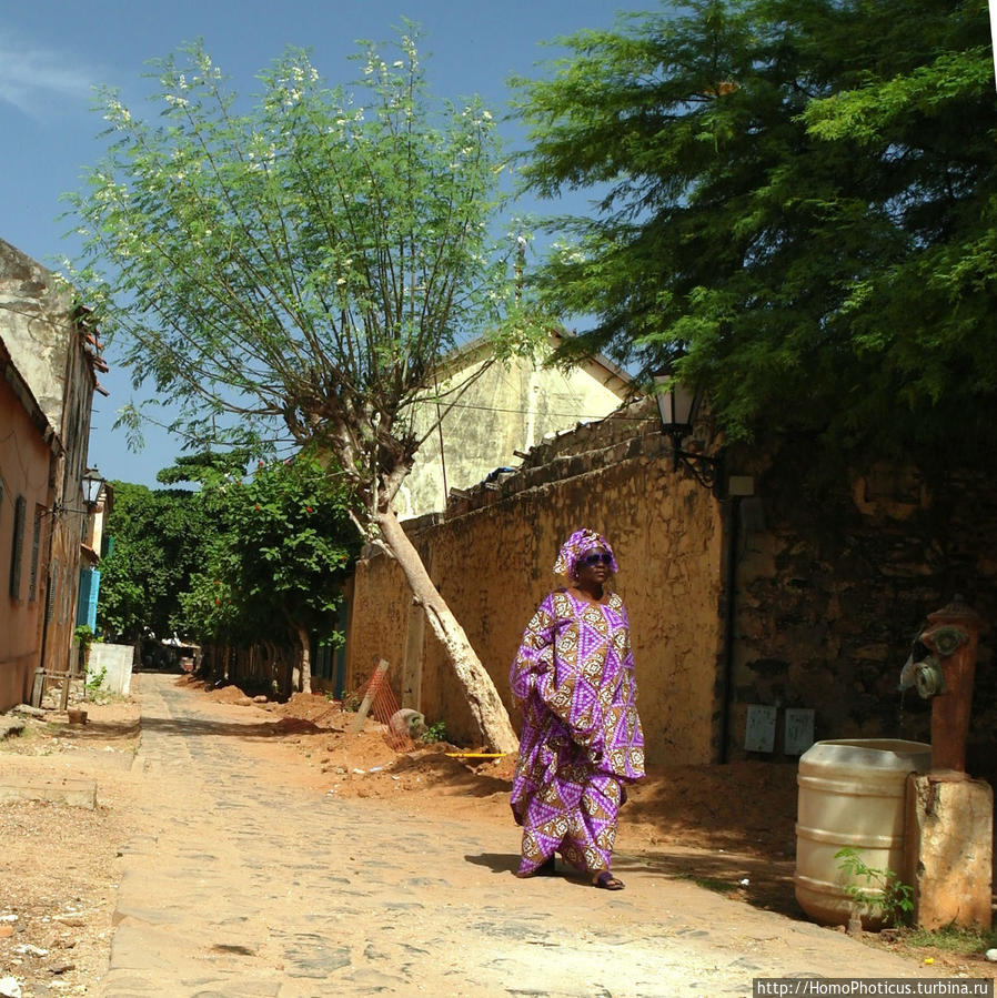 Сенегальцы Сенегал