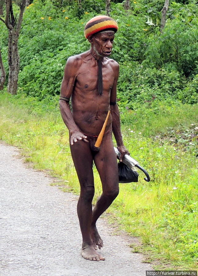 В таком виде можно ходить и по городу. Папуасский джентльмен. Вамена, Индонезия