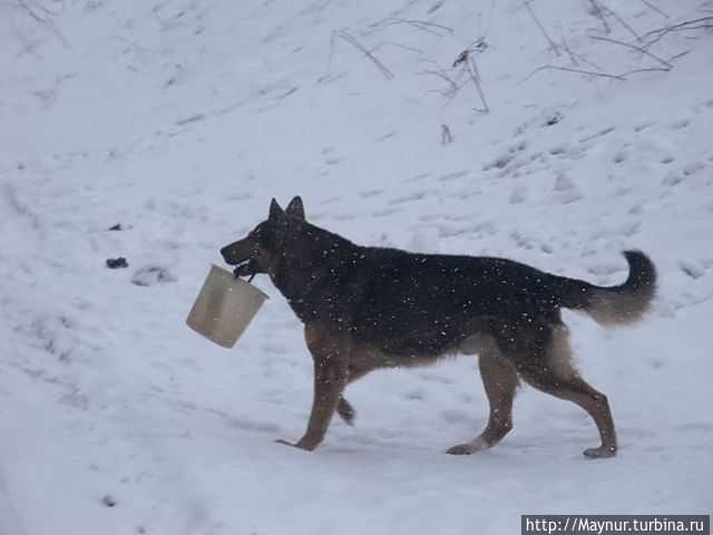 Помощник. Южно-Сахалинск, Россия