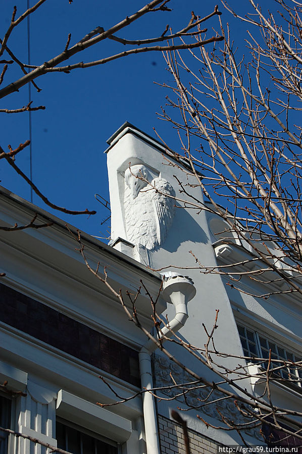 Особняк Скворцова (ул. Е.Ф. Григорьева 49).Детали, включая птицу