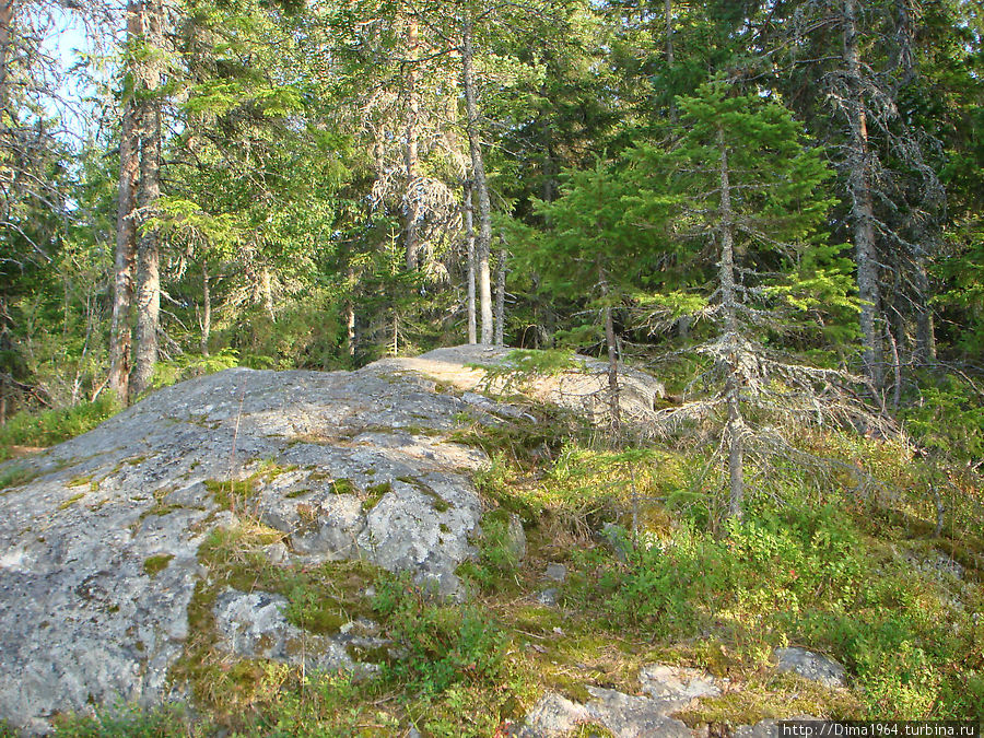 Вот с этой видовой точки Коли Национальный Парк, Финляндия
