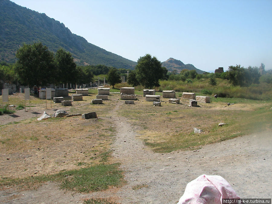 Театральная гимназия