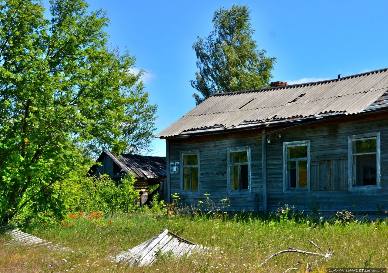 Деревня отзывы. Шерляга Троицко Печорский район. Шерляга. Шерляга Республика Коми фото. Республика Коми Троицко-Печерский район п. Шерляга.