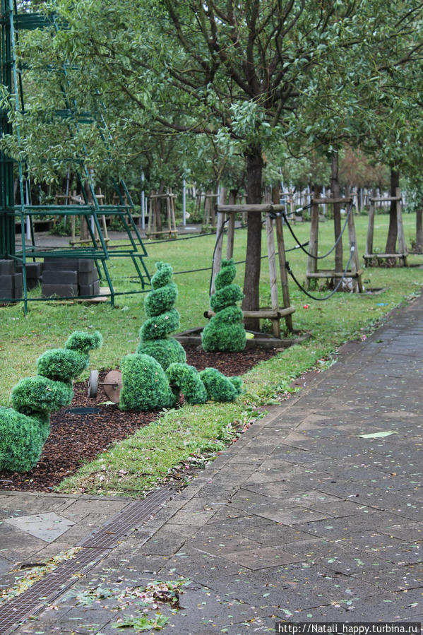 Последствия стихии Сен-Дени, Реюньон