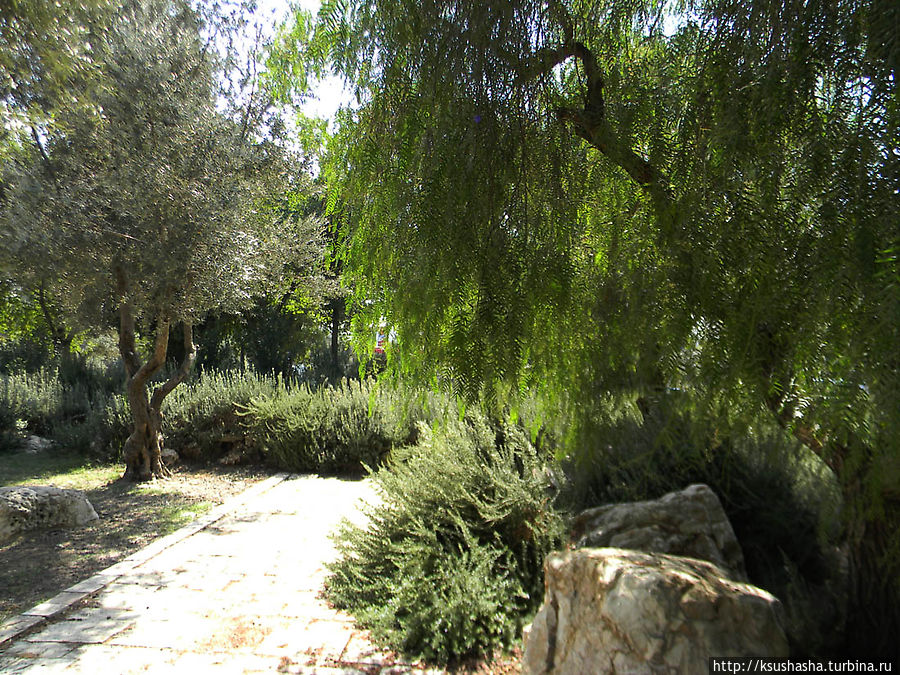 Городские парки Иерусалим, Израиль