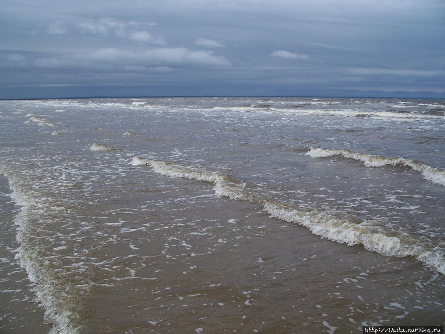 Белое море, Летний берег, Северодвинск Архангельская область, Россия