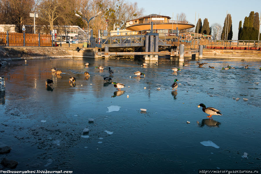 Тихая Тихань Тихань, Венгрия