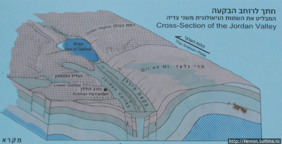На поверхности черточками обозначено базальтовое плато Национальный парк Бельвуар, Израиль