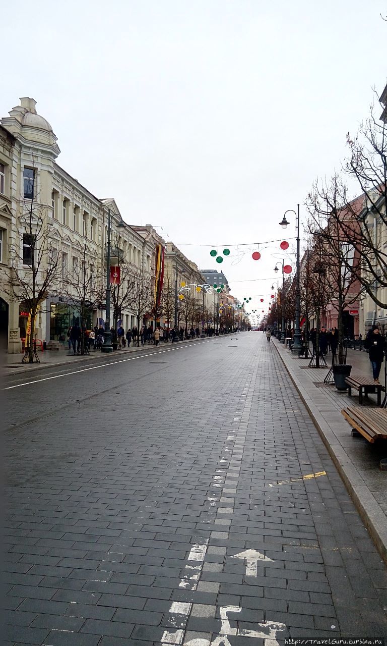 Проспект Гедимина Вильнюс, Литва