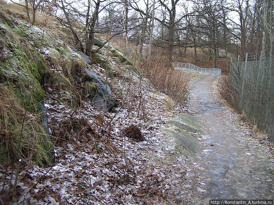 в одном из парков Гетеборга