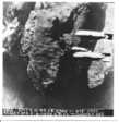 Бомбардировка бункера 4.10.1944, фото сделано с английского бомбардировщика