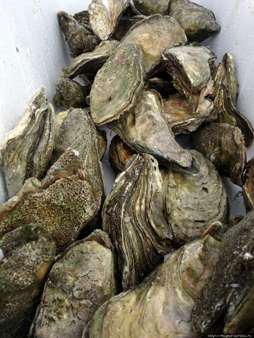 Новости из  культурной жизни г.  Южно Сахалинска Южно-Сахалинск, Россия