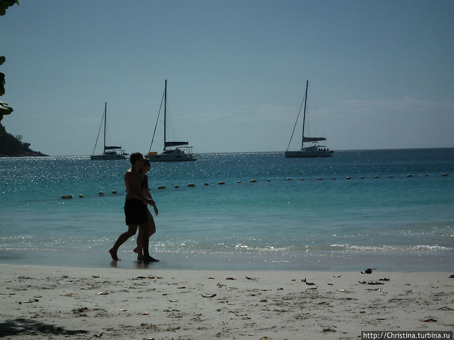 Печальная популярность Праслина Остров Праслин, Сейшельские острова