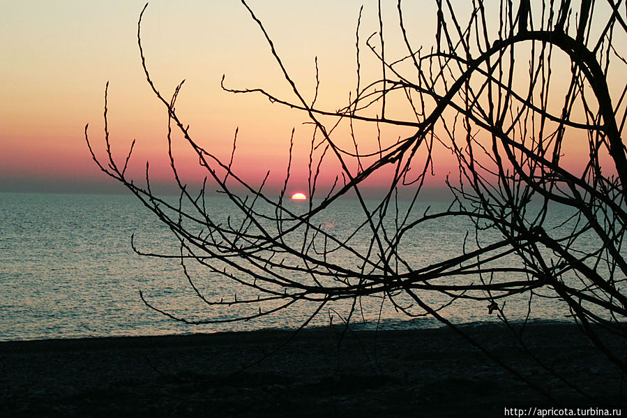 последний вечер выдался по-летнему теплым и так сильно взгрустнулось