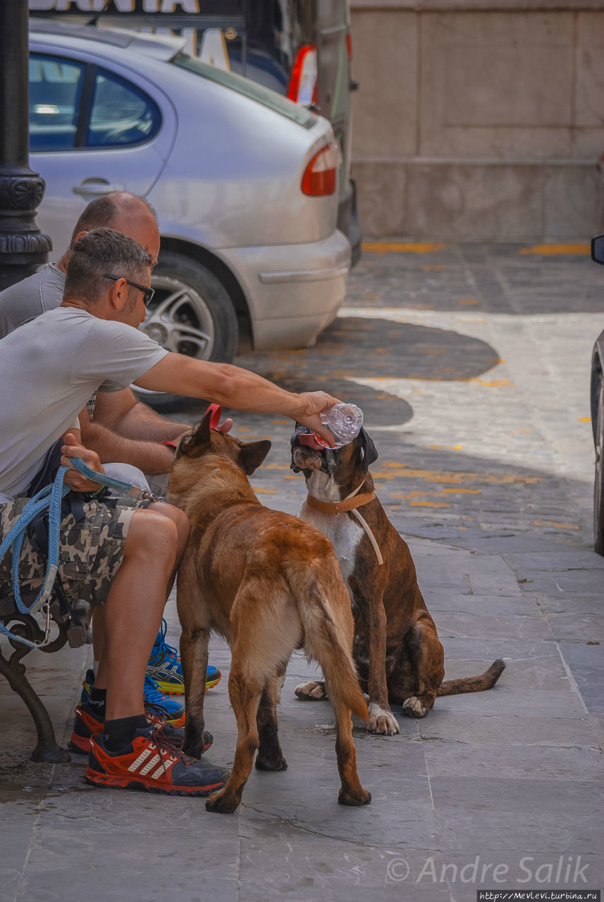 Тарифа, центр города Тарифа, Испания