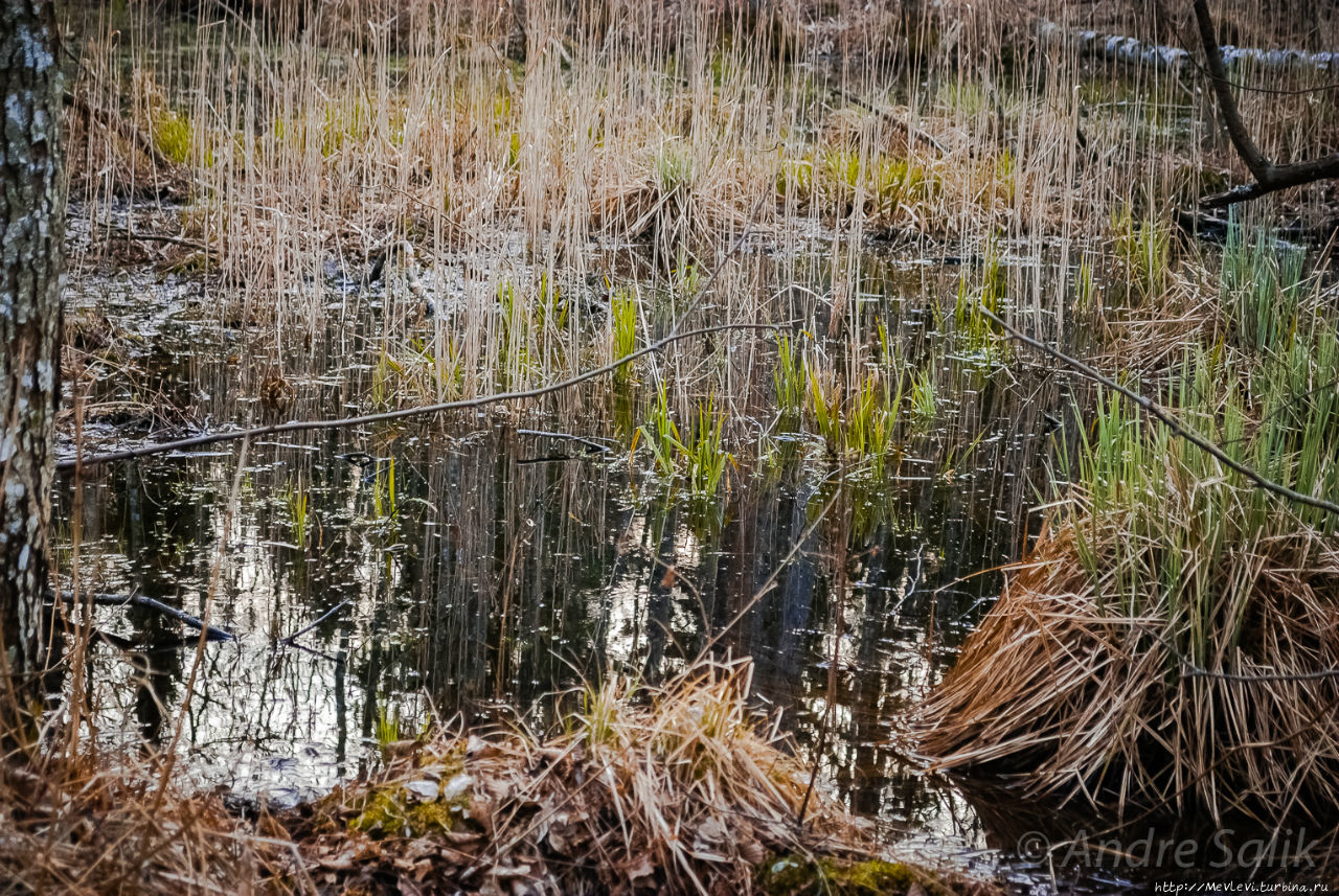 Озеро Слокас Кемери, Латвия