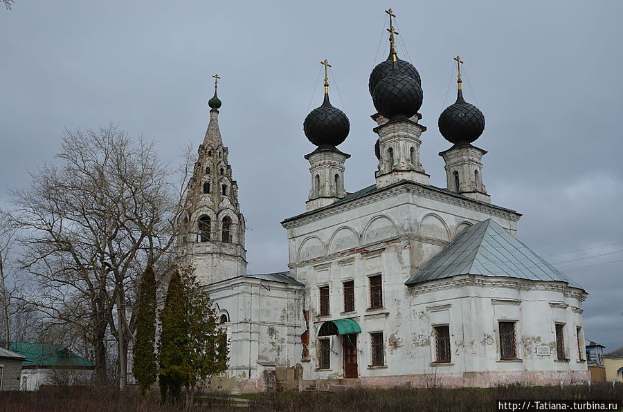Грачи прилетели Костромская область, Россия