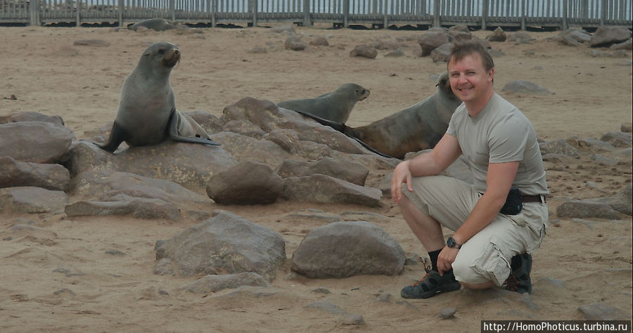 Побережье морских котиков Национальный парк Берег Скелетов, Намибия