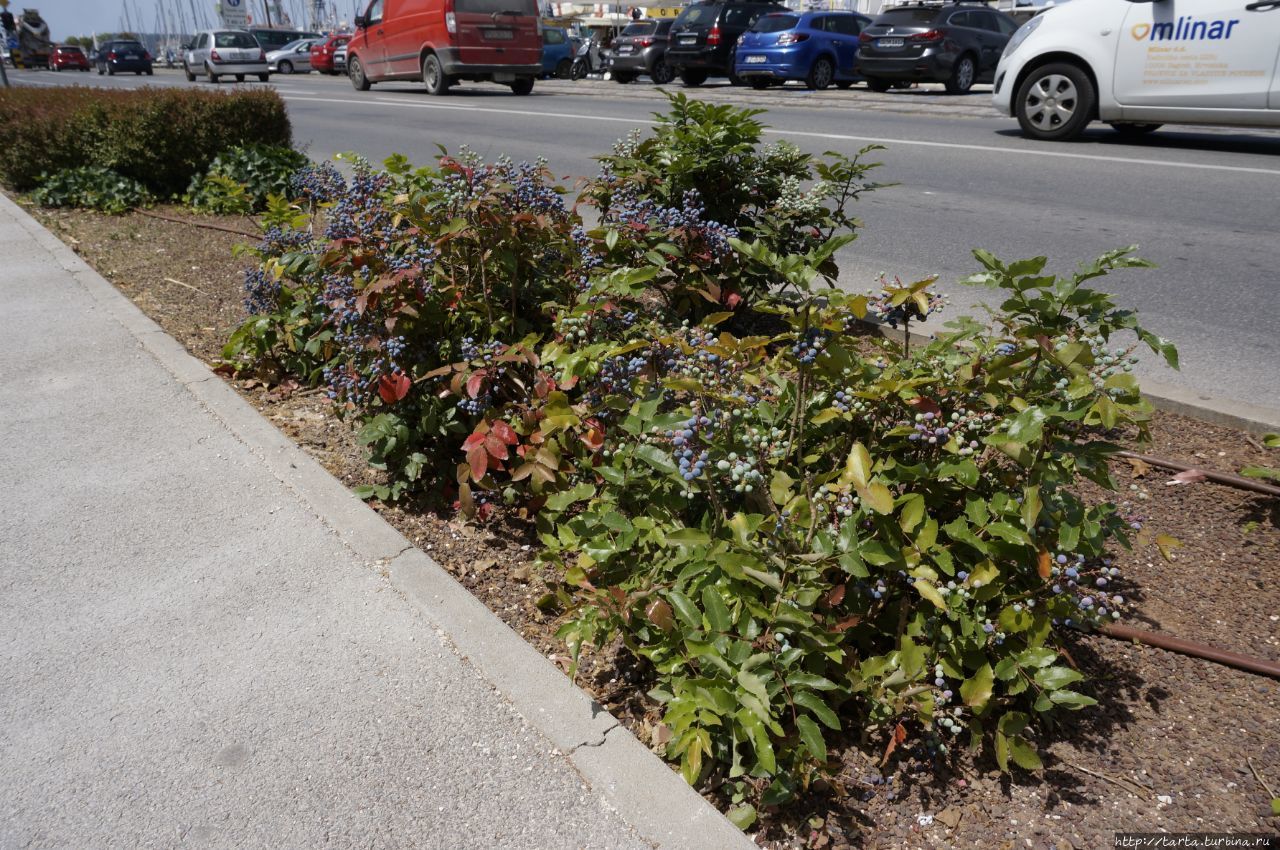 Пула 10 лет спустя Пула, Хорватия