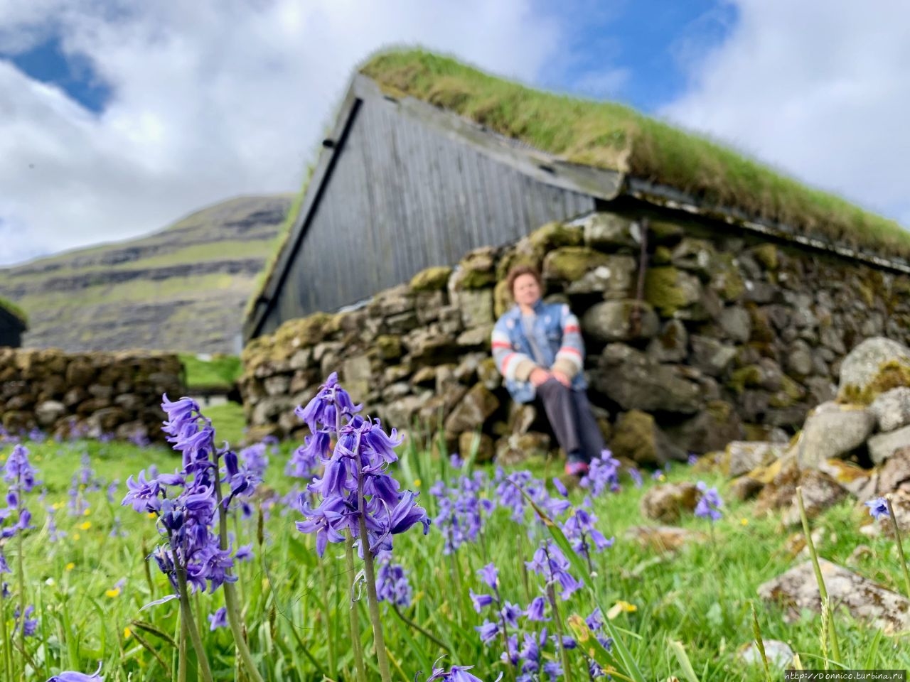 Ферма Дувугардур / Dúvugarður farm