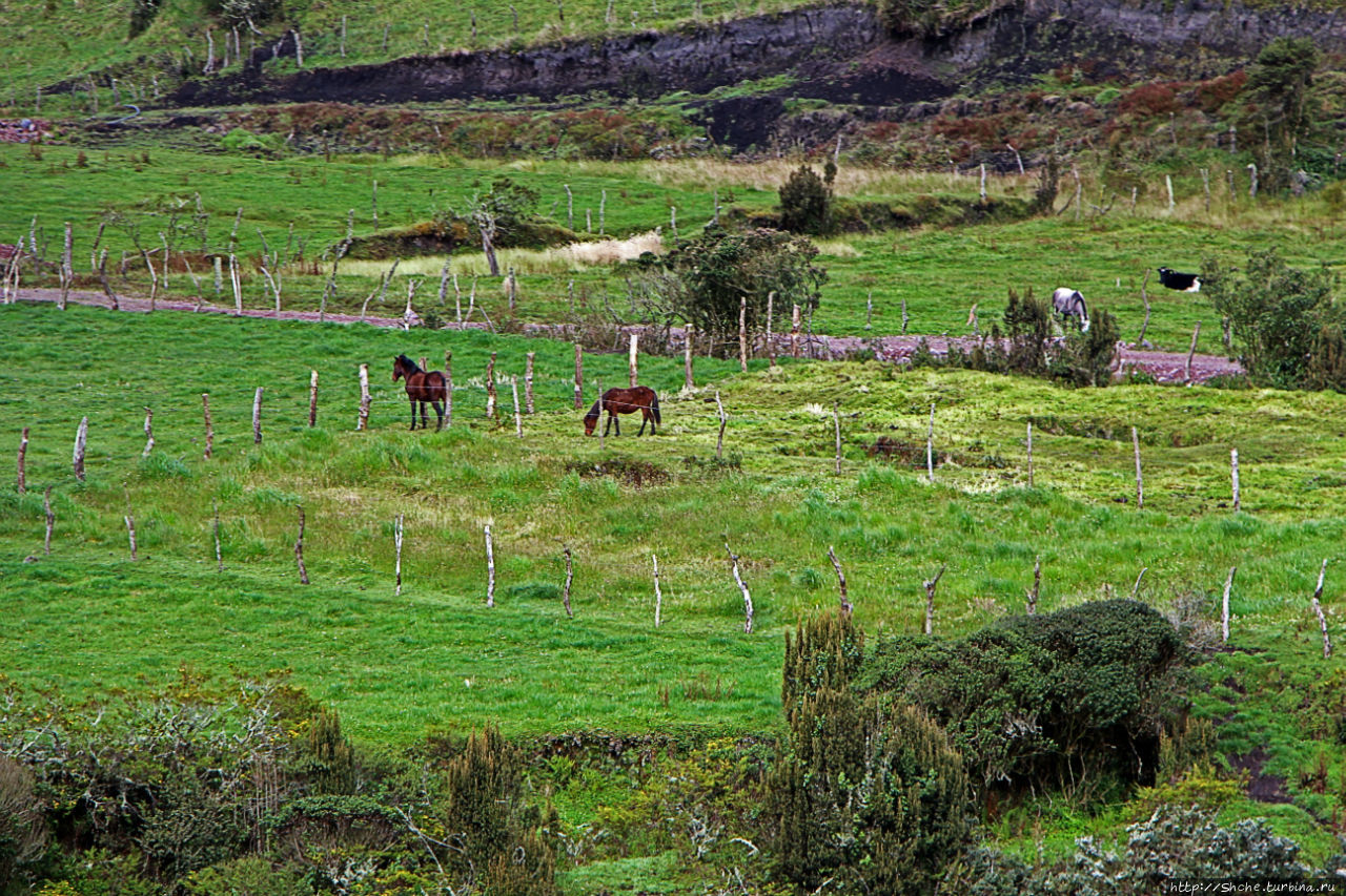 Папальякта — горный поселок близ знаменитых терм Папальякта, Эквадор