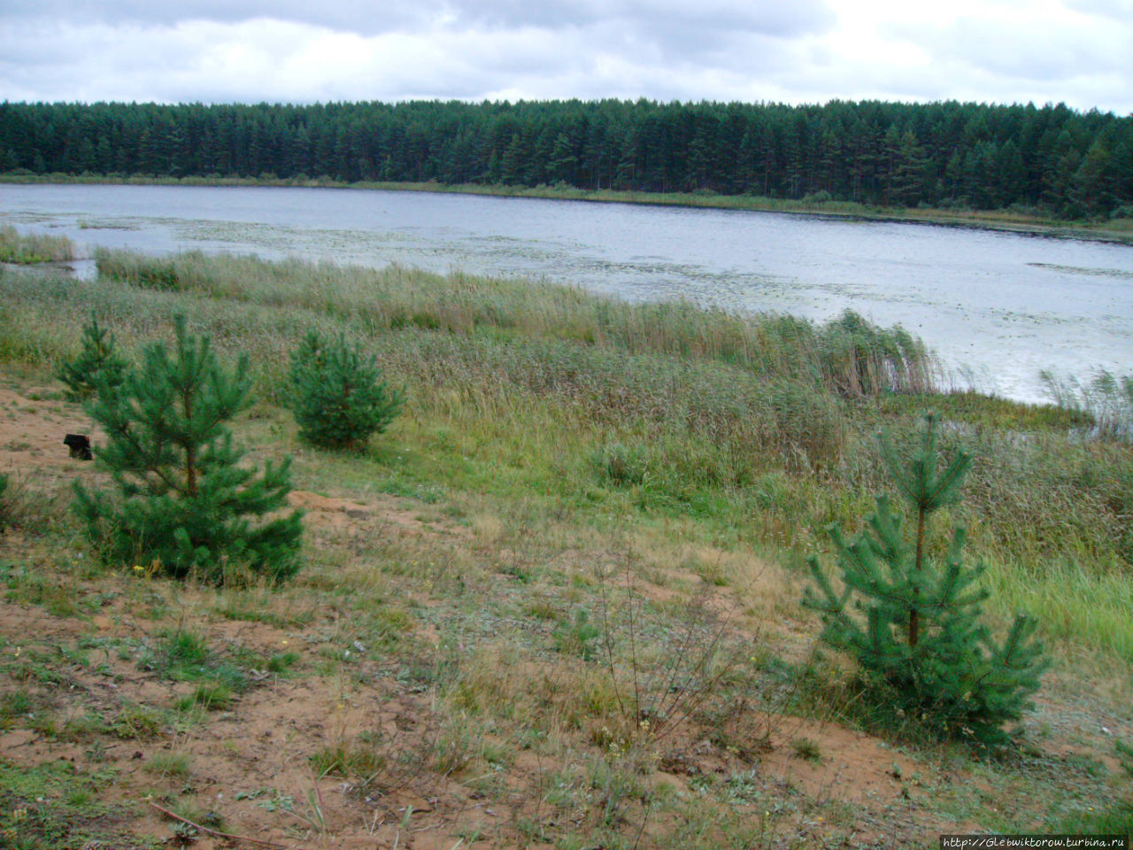 Пешком в Нилову пустынь Светлица (Нило-Столбенская пустынь), Россия