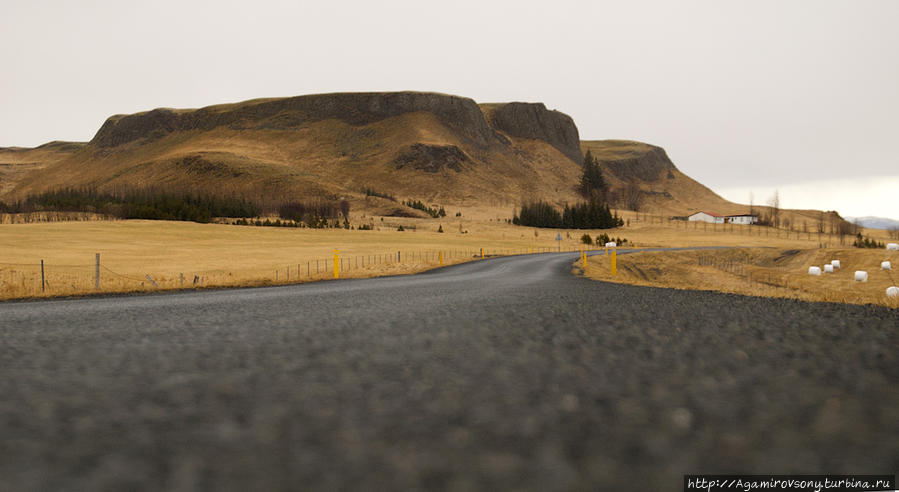 Отличные дороги, узкие, извилистые, с качественным покрытием, в глубинке массово используются деревянные мосты в одну полосу. Исландия