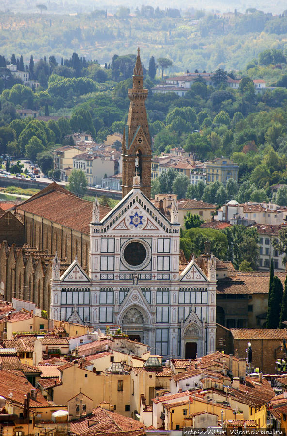 Флоренция. Базилика Санта-Кроче