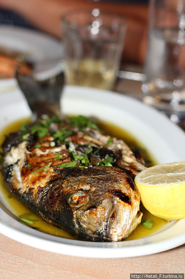Килограмм королевских креветок и две рыбки дорада обошлись нам где-то в 30 евро на четверых. Креветки все не осилили.