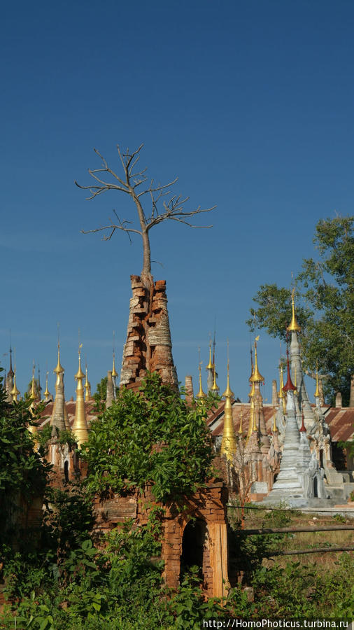 Лес ступ Озеро Инле, Мьянма