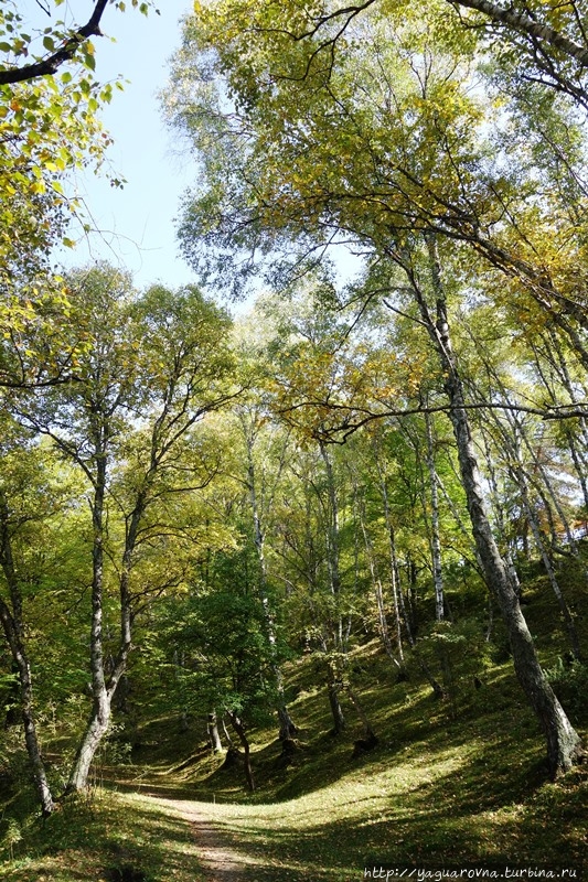 Царская поляна Гуниб, Россия