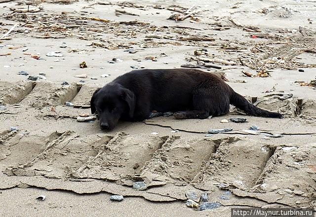 Россия.  Ожидание   возвращения  лодки   с  моря.